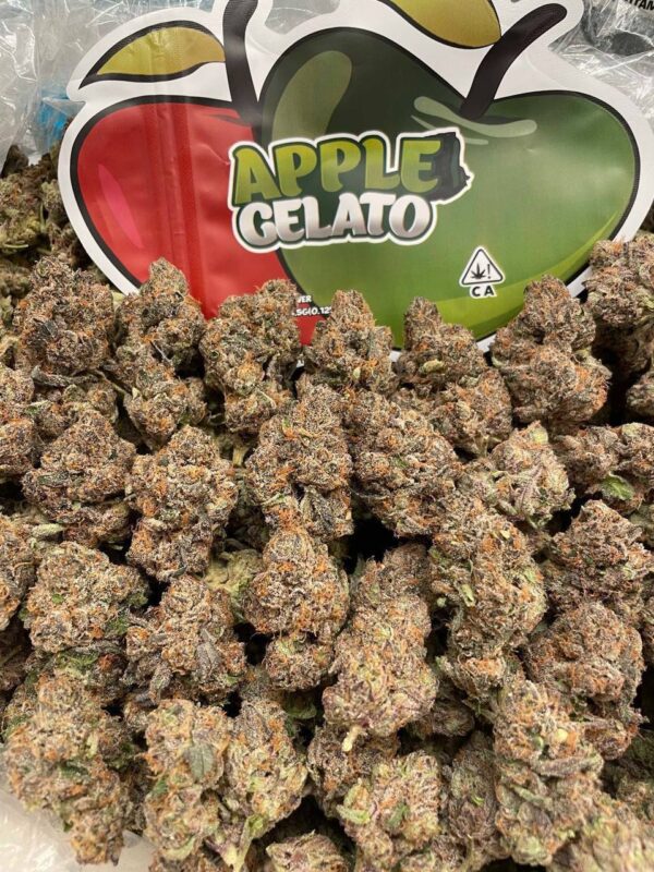 APPLE GELATO