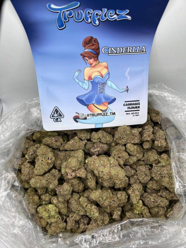 TRUFFLEZ ( CINDERLLA)