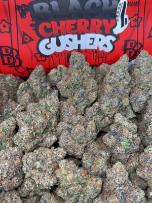 BLACK CHERRY GUSHERS
