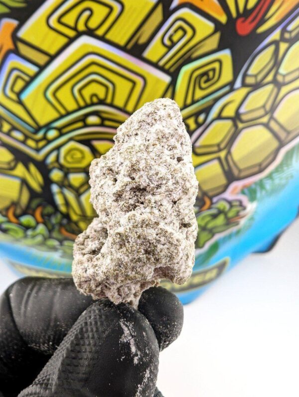 ALOHA GOLD (Snow Capz)