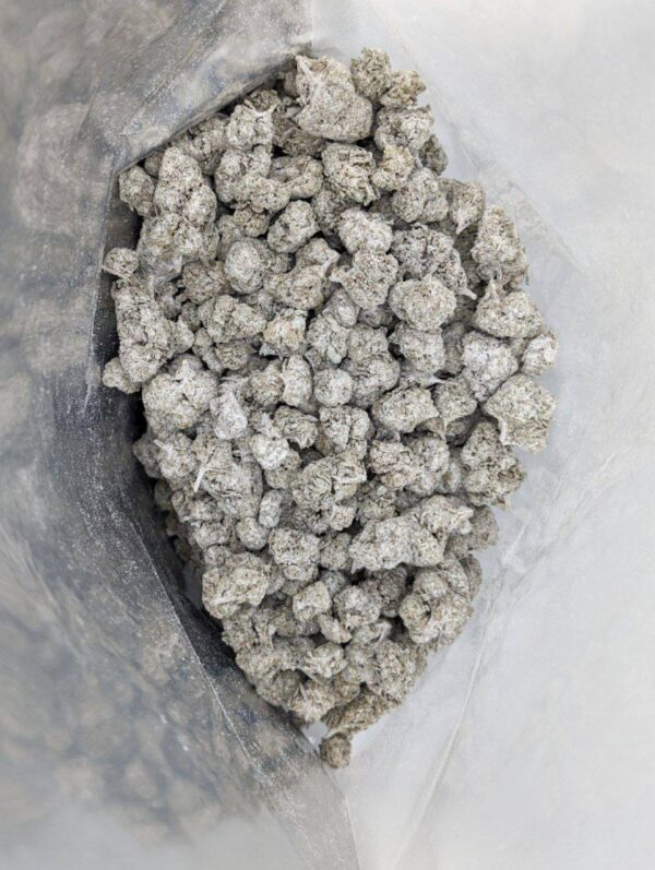 ALOHA GOLD (Snow Capz)