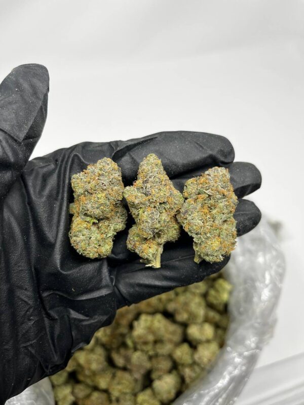 LATO POP by JOKE'S UP