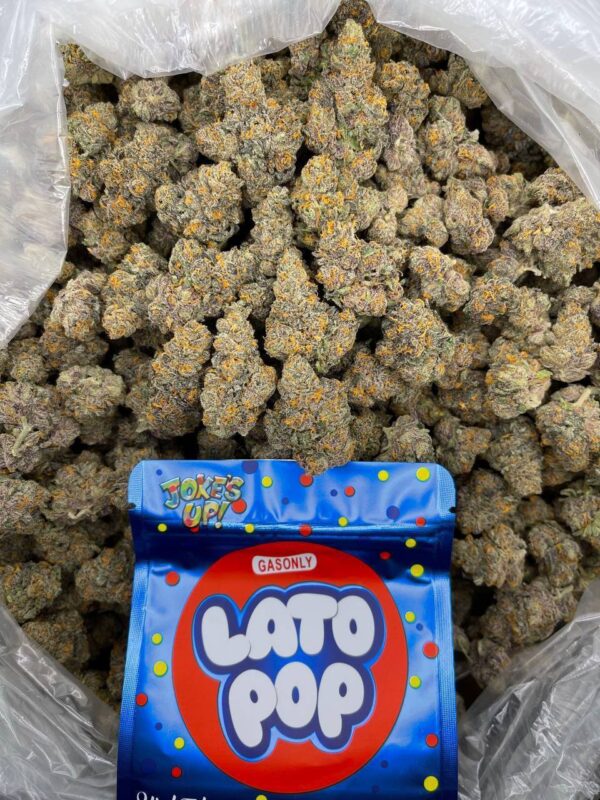 LATO POP by JOKE'S UP