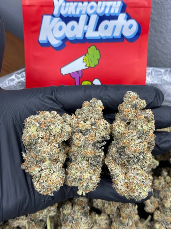 YukMouth Kool-Lato