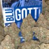 BLUE GOTTI BACKPACK BOYZ