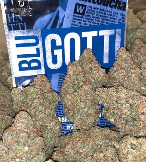 BLUE GOTTI BACKPACK BOYZ
