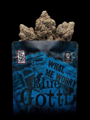 BLUE GOTTI BACKPACK BOYZ