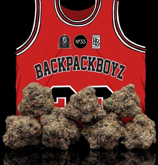 SCOTTIE PIPPEN BACKPACK BOYZ(NUMBER 33)