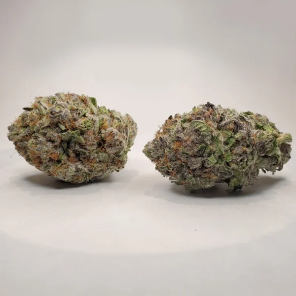 Granddaddy Purple XXL