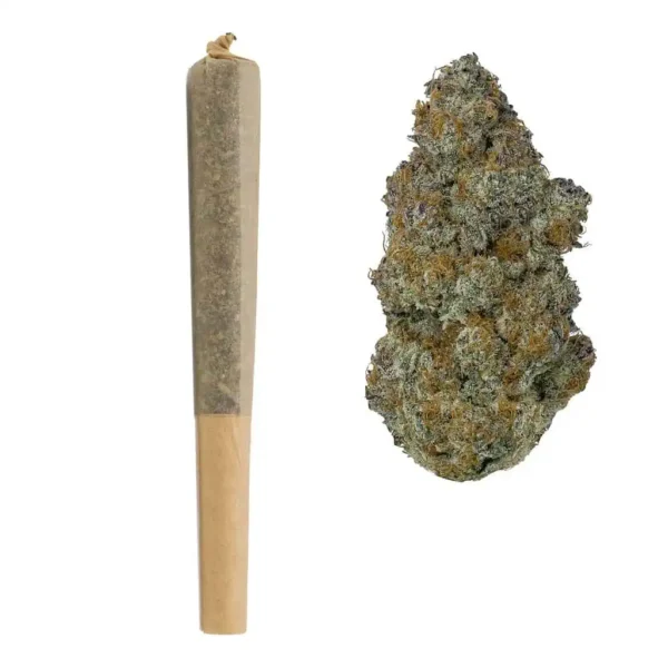 GMO Cookies THCA Pre Rolls